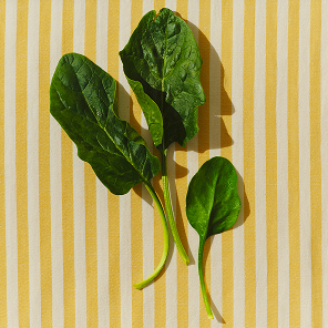 B vitamins illustration representing sustained energy and vitality