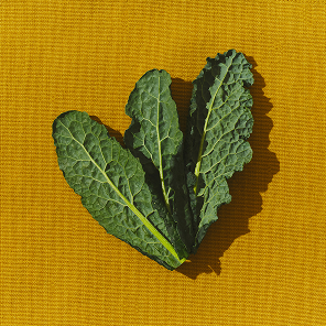 Dietary fiber icon